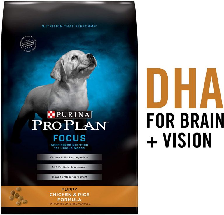 The Best Dry Puppy Food for Pitbulls Our Top 4 Picks Pitbulls Care